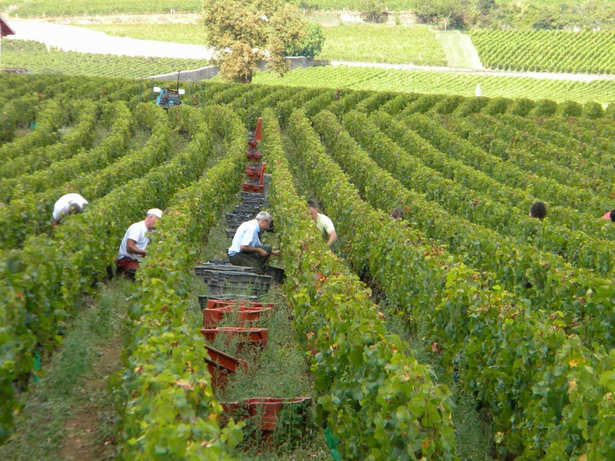 Le Jardin Des Chanceliers Beaune  Exterior photo
