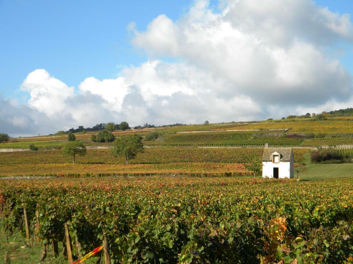 Le Jardin Des Chanceliers Beaune  Exterior photo